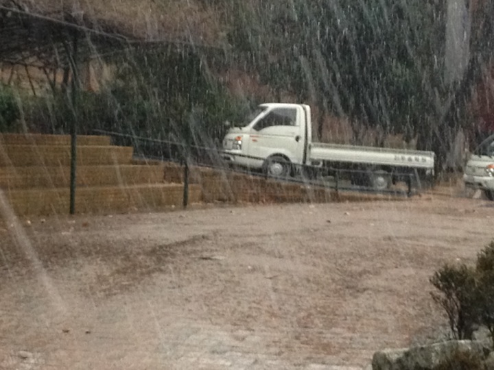 Solpine Bakery (솔파인 베이커리) | 대전광역시 동구 (자양동, 우송타워 내 2F) | +82 42-629-6429