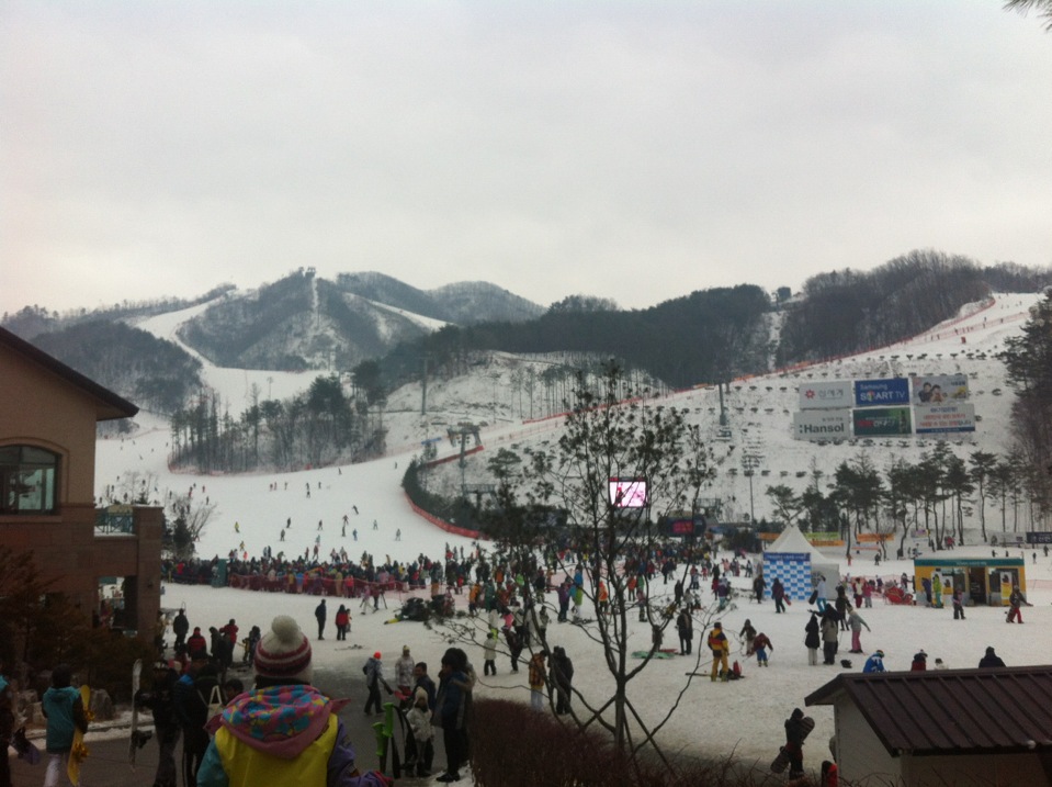 오크밸리 CC (Oak Valley CC) | 강원도/한국 원주 지정면 오크밸리1길 67 | +82 33-730-3500 오크밸리 CC (Oak Valley CC) | 강원도/한국 원주 지정면 오크밸리1길 67 | +82 33-730-3500