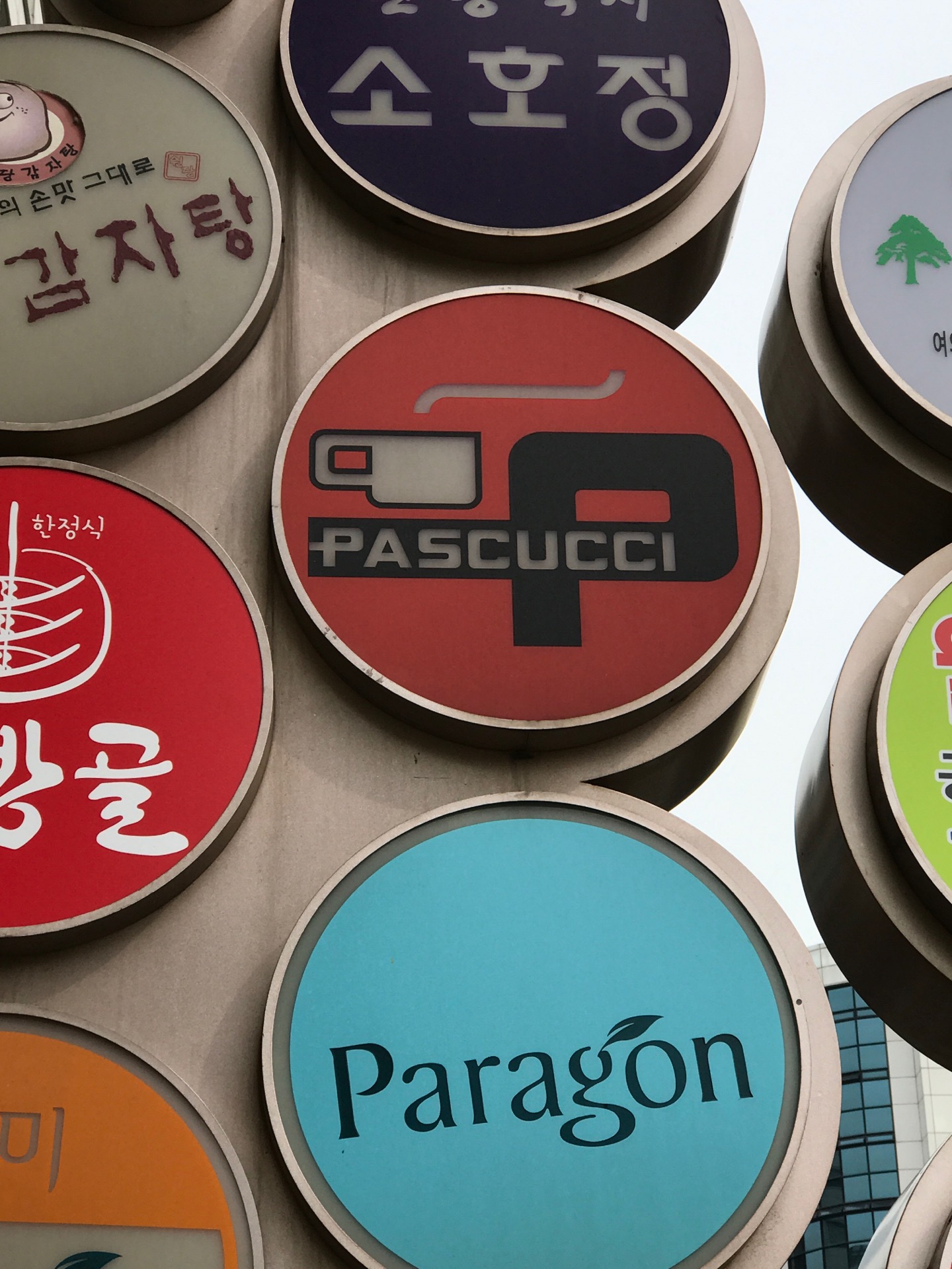 CAFFÉ PASCUCCI | 서울시 영등포구 여의도동 13 진미파라곤 1층 | +82 2-780-8497