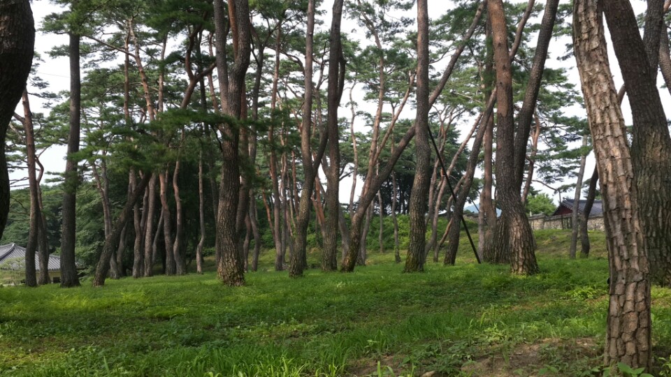 소수서원 (紹修書院, Sosu Seowon) | 경상북도 영주 순흥면 소백로 2740 | +82 54-639-5852 소수서원 (紹修書院, Sosu Seowon) | 경상북도 영주 순흥면 소백로 2740 | +82 54-639-5852