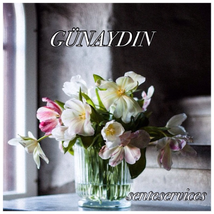 Senteservices Creative Media Pr | Kükürtlü Mahallesi 1. Mutlular Caddesi Koyuncu Apt. 1/A Osmangazi, 16070 Osmangazi/Bursa | +90 224 233 56 26