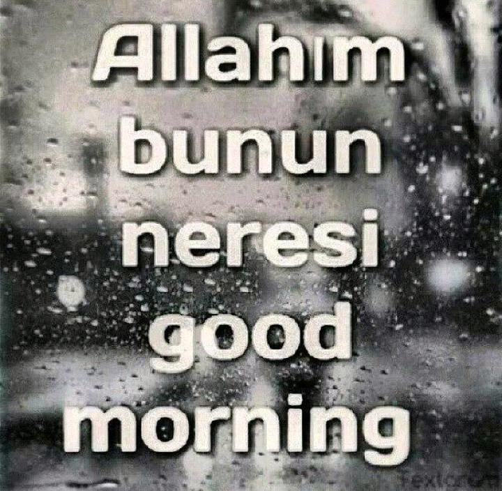 Karaköy Börek Ve Tatlıcısı | Vatan Caddesi 7/b, Yenimahalle/Ankara | +90 545 826 66 07