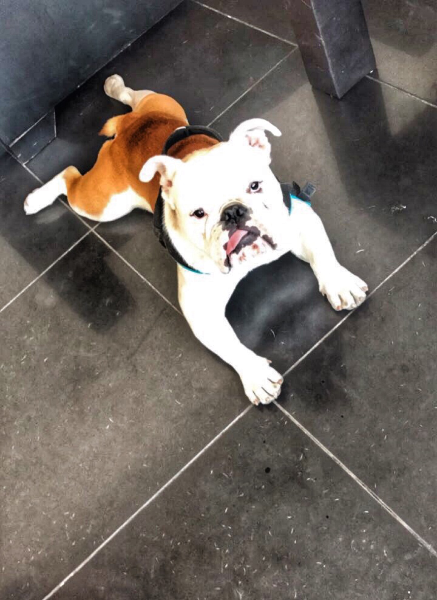 BAD CAR DETAiLiNG CENTER | Bağdat Caddesi Altayçeşme Mahallesi No:339/1, Maltepe/İstanbul | +90 532 214 80 80