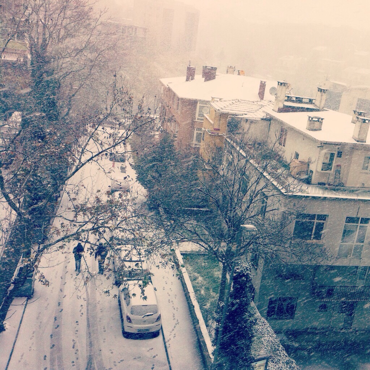 Artı İletişim Yönetimi | morbasan Sokak koza is merkezi b blok, Besiktas/İstanbul | +90 212 347 03 30