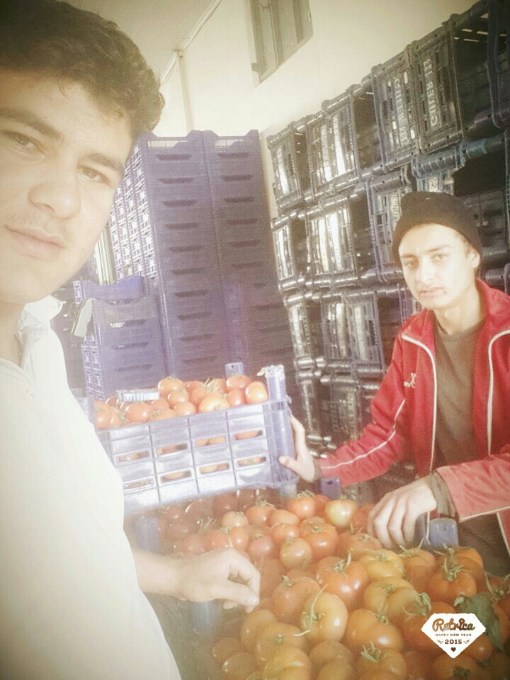 karatepe kom.kumluova | kumluova, 48300 Mugla/turkiye | +90 537 973 99 85