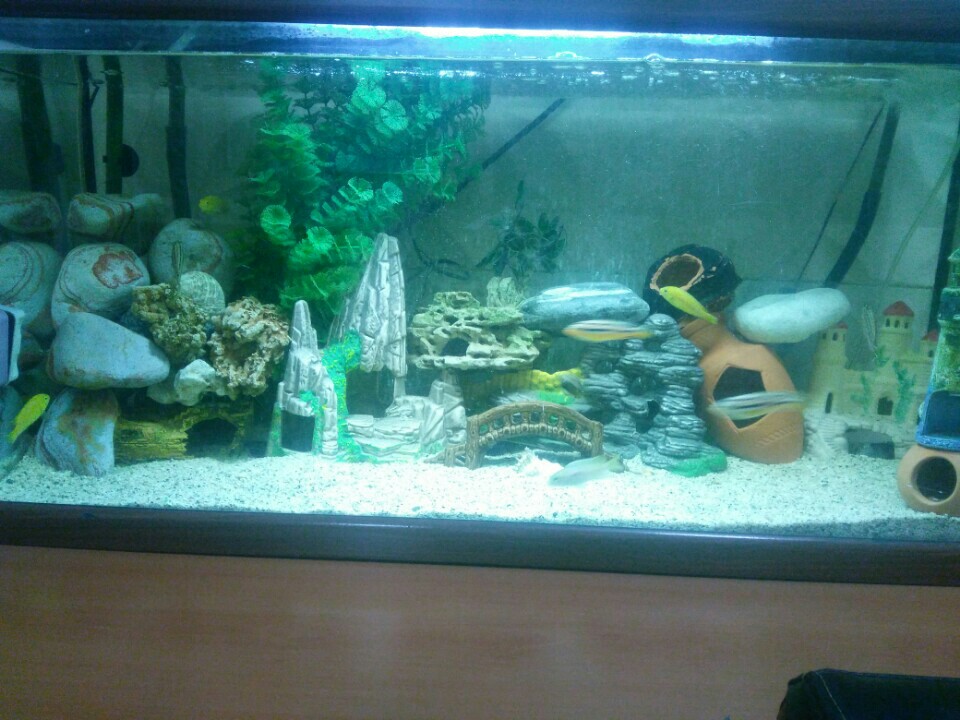 Taha Emlak Ve Oto | Yarimburgaz Mahallesi Yonca Sokak, 34303 Basaksehir/İstanbul | +90 212 678 48 55