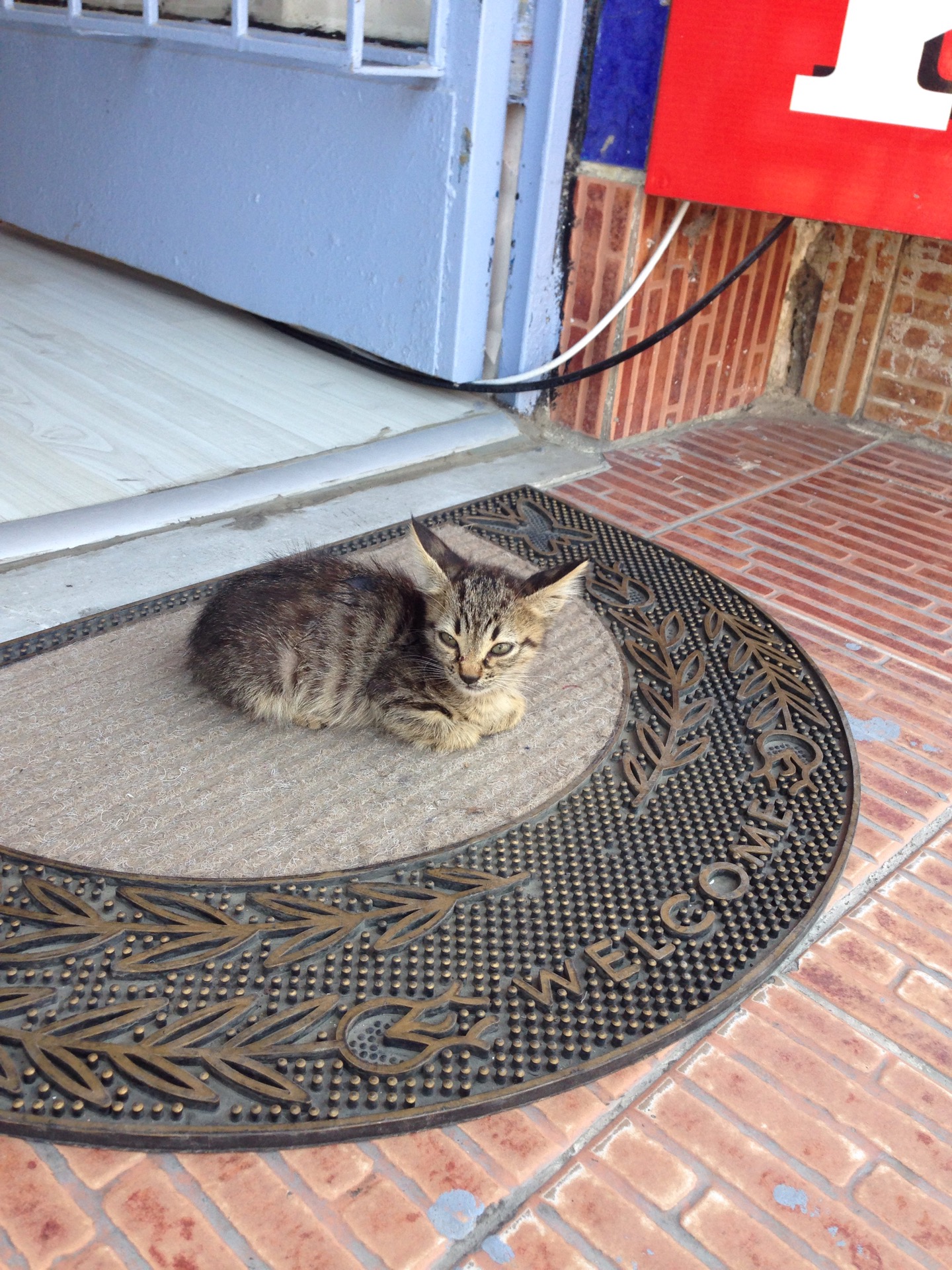 Taha Emlak Ve Oto | Yarimburgaz Mahallesi Yonca Sokak, 34303 Basaksehir/İstanbul | +90 212 678 48 55