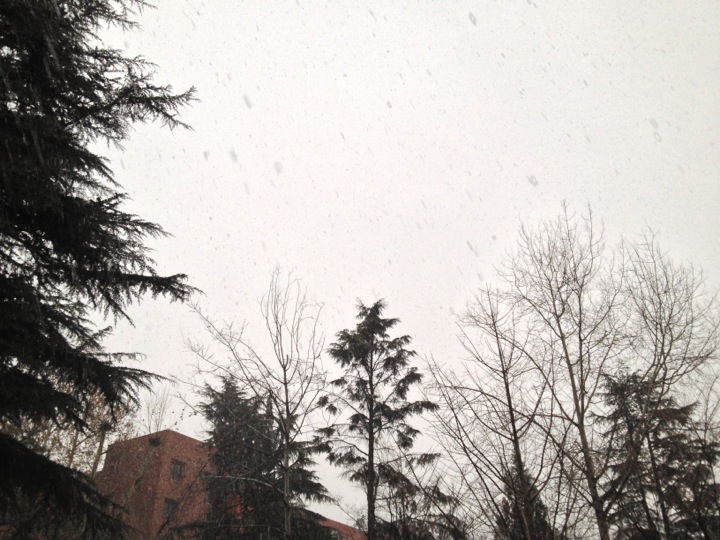 Solpine Bakery (솔파인 베이커리) | 대전광역시 동구 (자양동, 우송타워 내 2F) | +82 42-629-6429