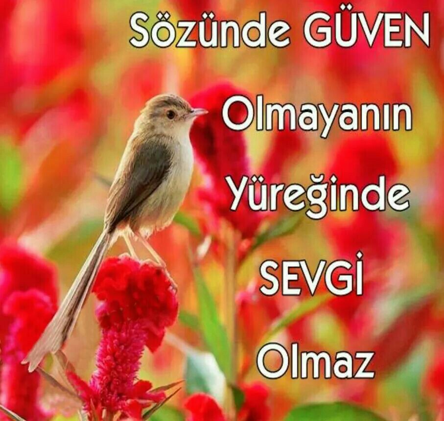 Türkiye İş Bankası ATM Beylikbağı Parkı/Gebze | Mimar Sinan Mahallesi Beylikbağı Parkı İçi Yolu, 41400 Kocaeli/Gebze | +90 850 724 0724