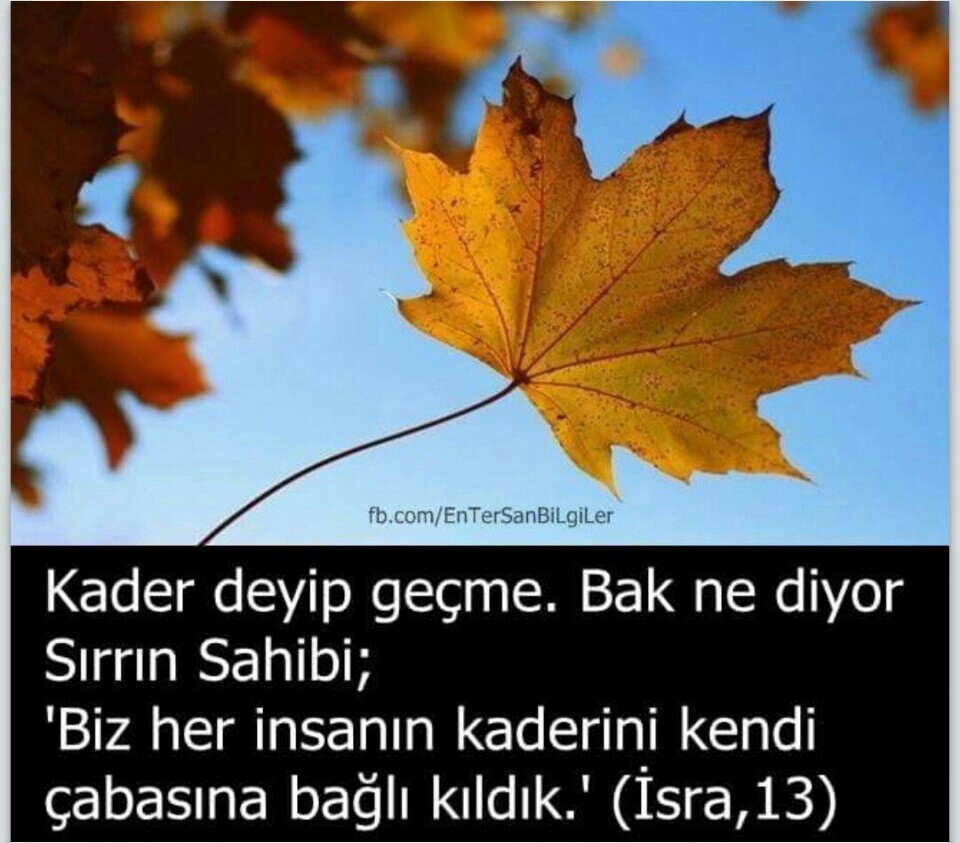 Özçeller group company | Şehit Yüzbaşı Ali Oğuz Bulvari Uğur İşhanı, Payas/hatay | +90 326 755 26 46