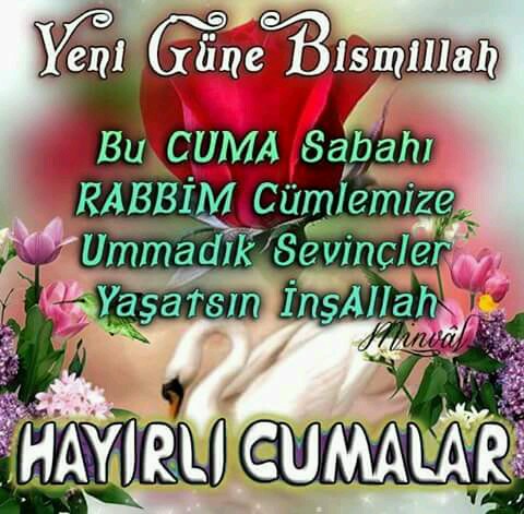 İLGAR BESİ İŞLETMELERİ | Bornova/İzmir | +90 232 449 88 87