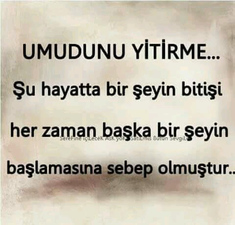 İLGAR BESİ İŞLETMELERİ | Bornova/İzmir | +90 232 449 88 87