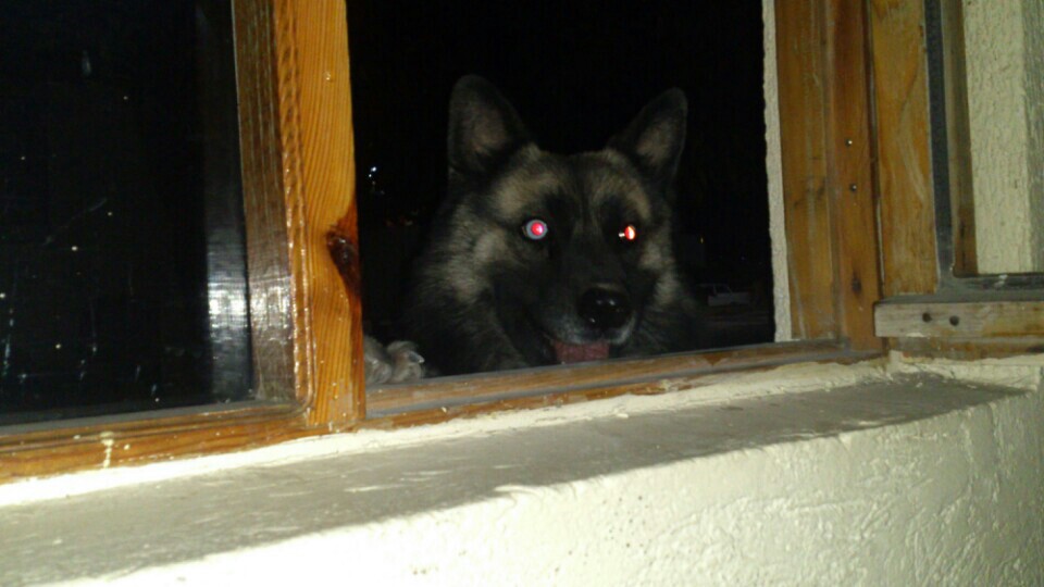 AFOS TIR KAMYON GARAJI VE YIKAMA YAĞLAMA | Ambar Mahallesi Altınoluk Caddesi Nakliyeciler Sıt., 38070 Melikgazi/Kayseri | +90 352 326 90 90