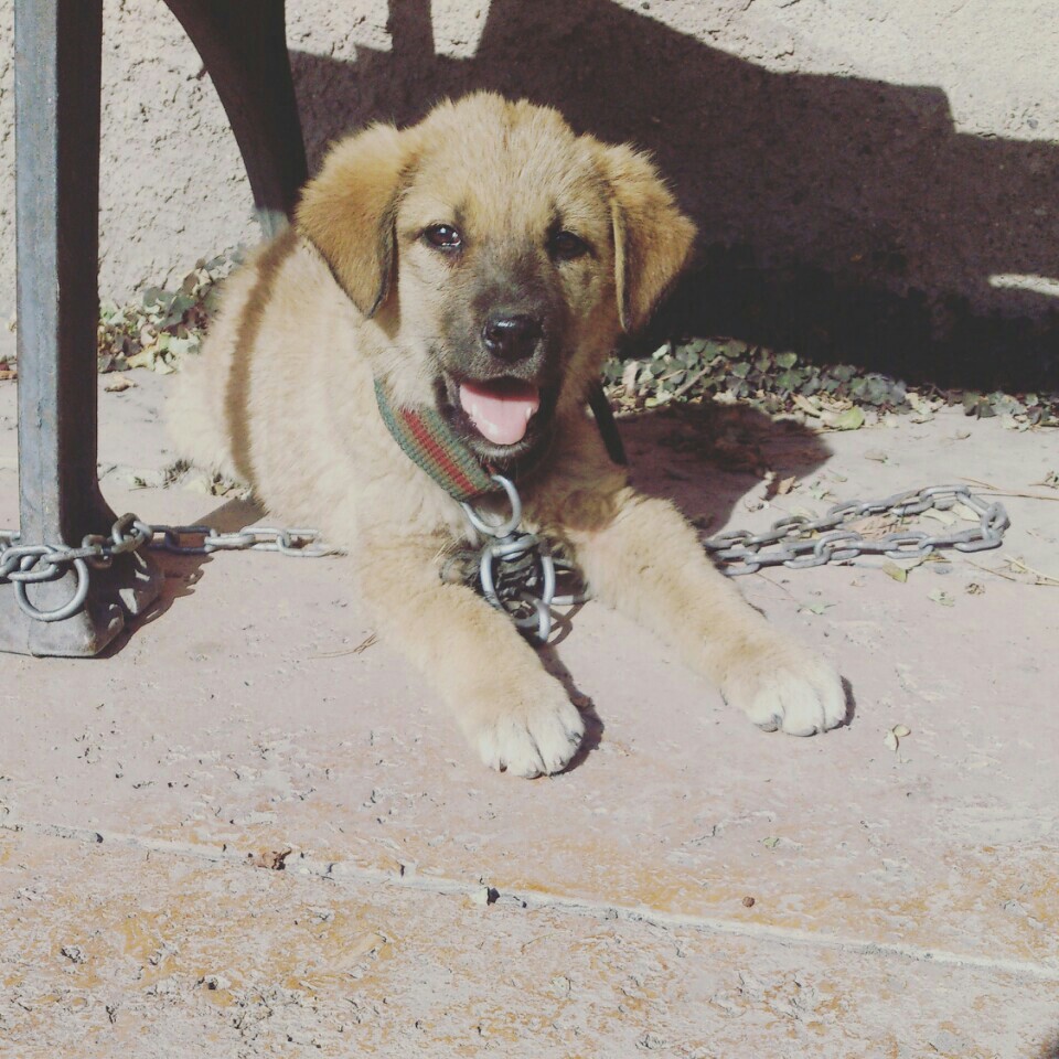 AFOS TIR KAMYON GARAJI VE YIKAMA YAĞLAMA | Ambar Mahallesi Altınoluk Caddesi Nakliyeciler Sıt., 38070 Melikgazi/Kayseri | +90 352 326 90 90