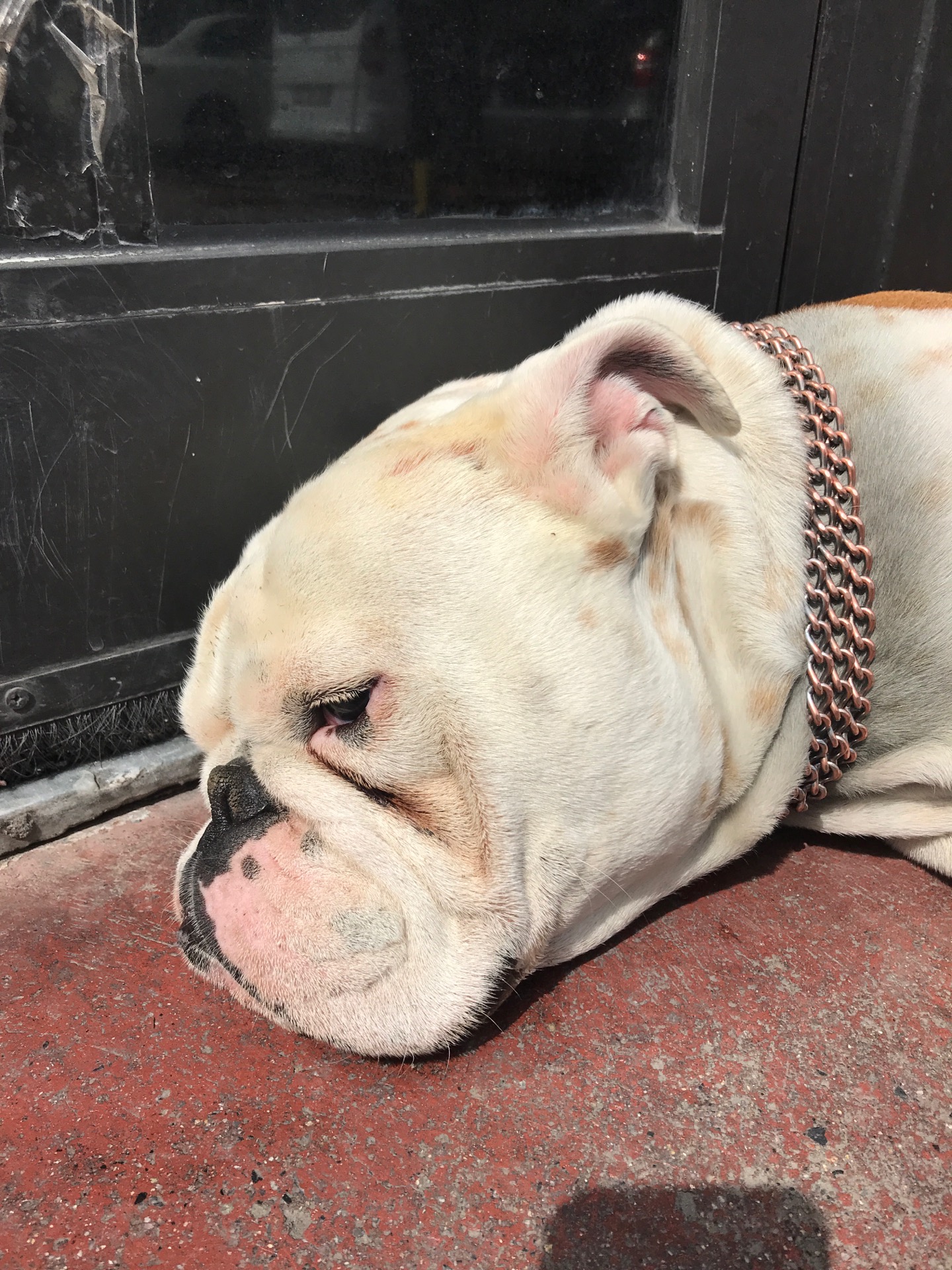 BAD CAR DETAiLiNG CENTER | Bağdat Caddesi Altayçeşme Mahallesi No:339/1, Maltepe/İstanbul | +90 532 214 80 80