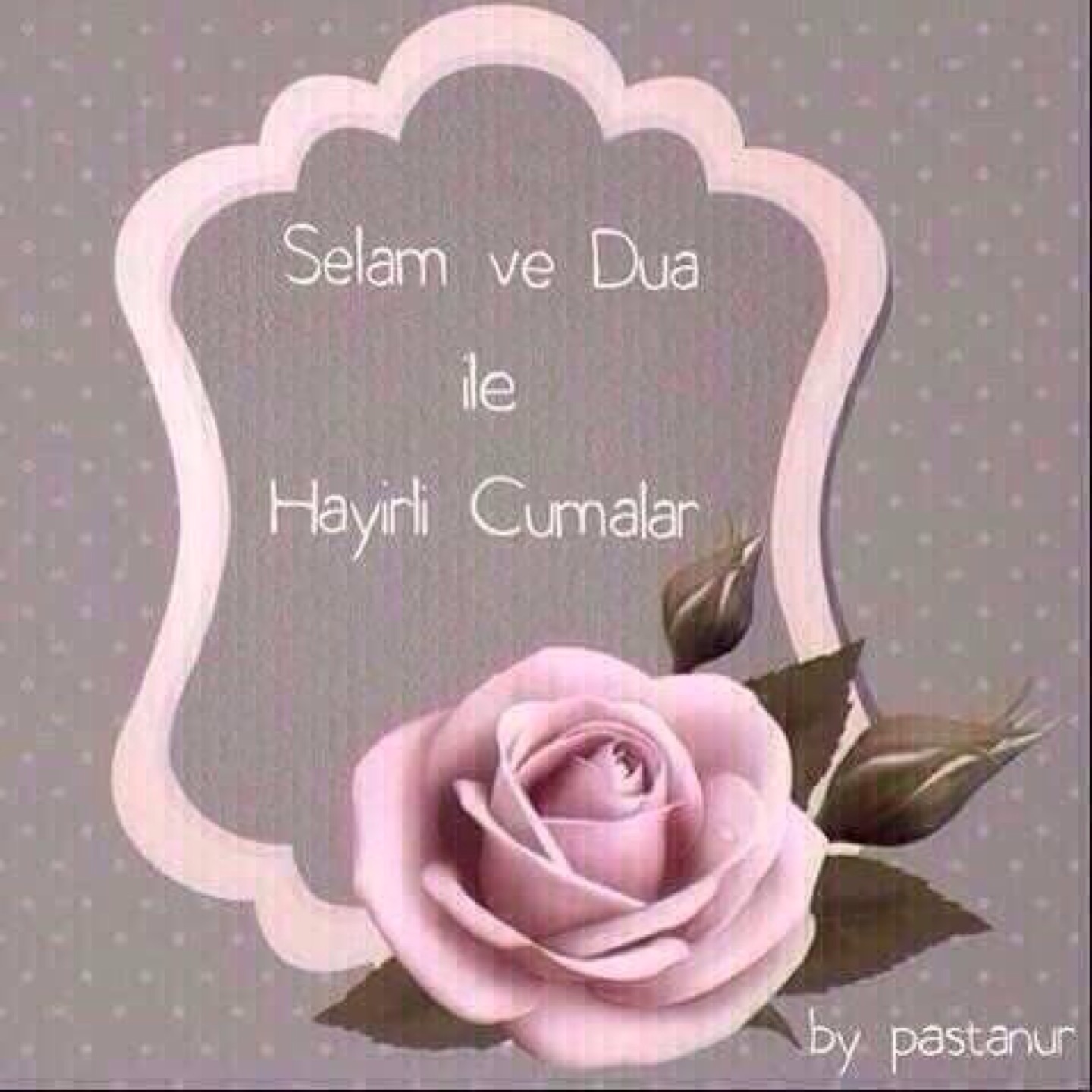 ÇARBOĞA İNŞ MLZ DEPOSU | Eskiğümüş Kavşağı, 51100 Merkez/Niğde | +90 388 213 22 79