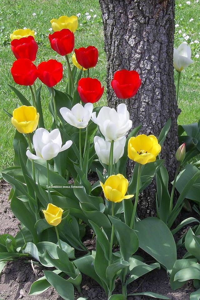 M.Adnan Menlik Aku Paz. | Vezirçiftliği Mahallesi D-130 Karayolu Üzeri, Izmit/Kocaeli | +90 262 349 60 50