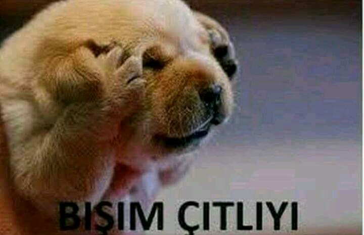 Eskişehir Kobi Sanayi Bölgesi | Ankara Yolu 10.Km, 26110 Eskişehir/Eskişehir | +90 222 236 10 80