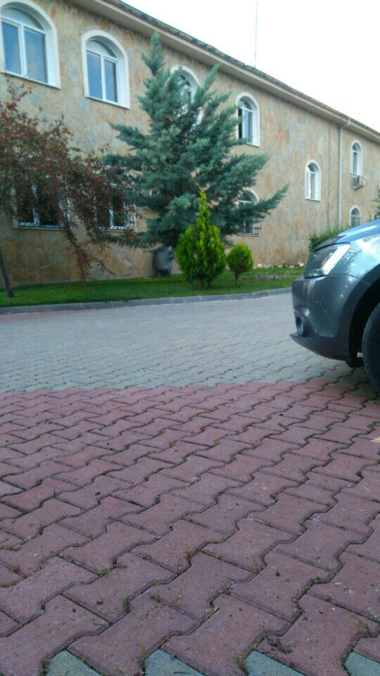 Filistin Büyükelçiliği | Oran Kılıç Ali Caddesi, 06550 Çankaya/Ankara | +90 312 436 08 23