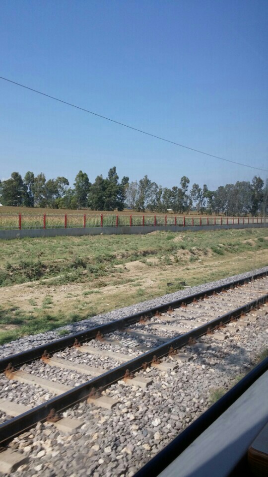 Sanko Makina Adana Bölge Müdürlüğü | Turhan Cemal Beriker Bulvari 16. Km. Zeytinli Mahallesi No:794, Adana/Seyhan | +90 322 271 04 74