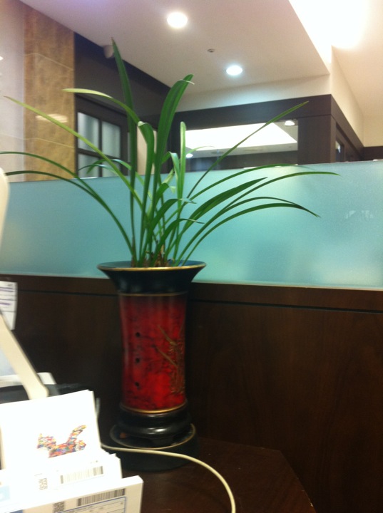 우리은행 | 서울특별시 서초구 바우뫼로27길 2 | +82 2-579-1840