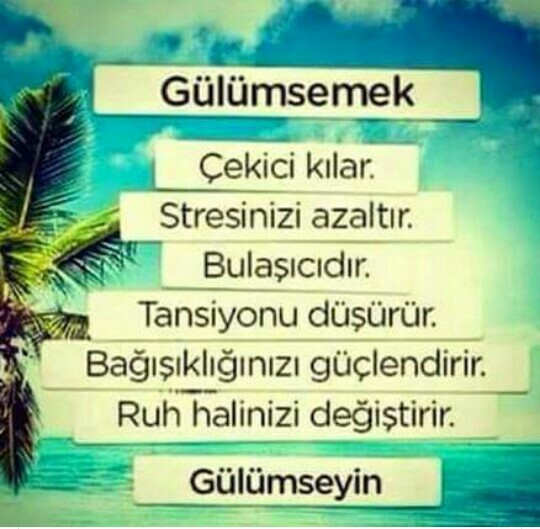 Rapunzell Saç Dünyası& Tasarım | G.M.K Bulvari Tatlı Apt. No:436/B, Yenisehir/Mersin | +90 532 155 18 95