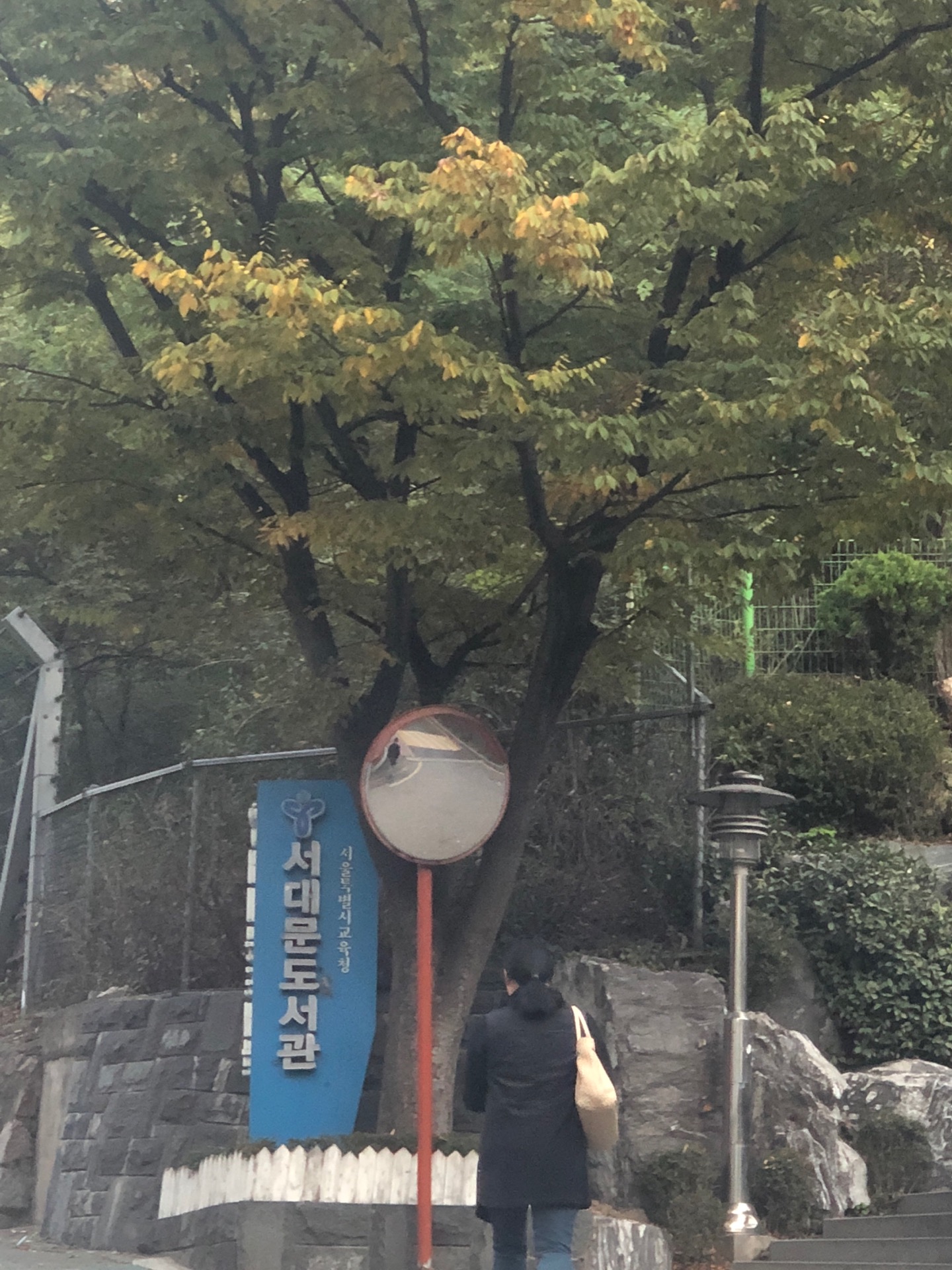 서대문도서관 | 서울특별시 서대문구 모래내로 412 | +82 2-396-3158