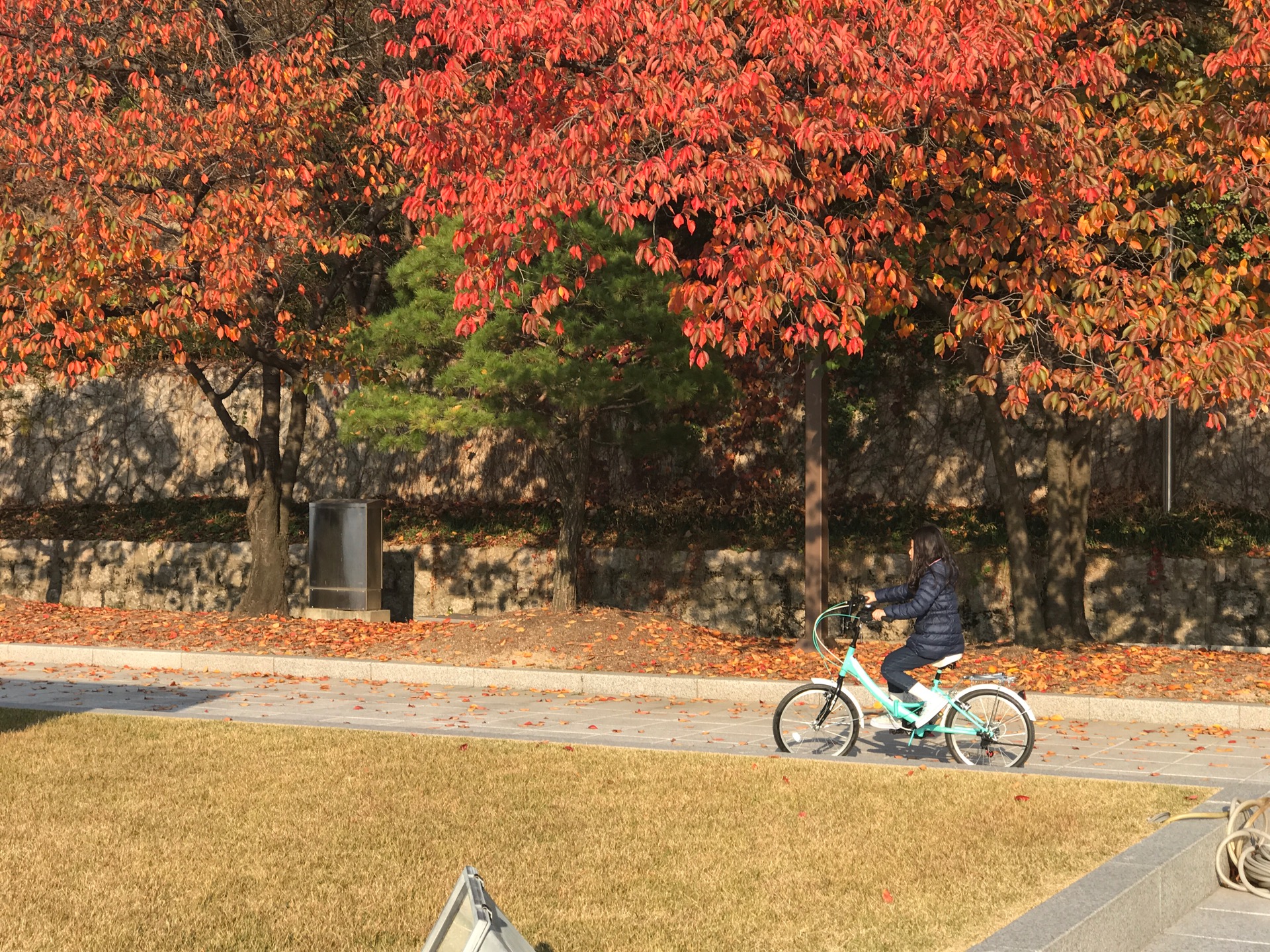 서울사이버대학교 | 서울특별시 강북구 솔매로 49길60 | +82 2-944-5000