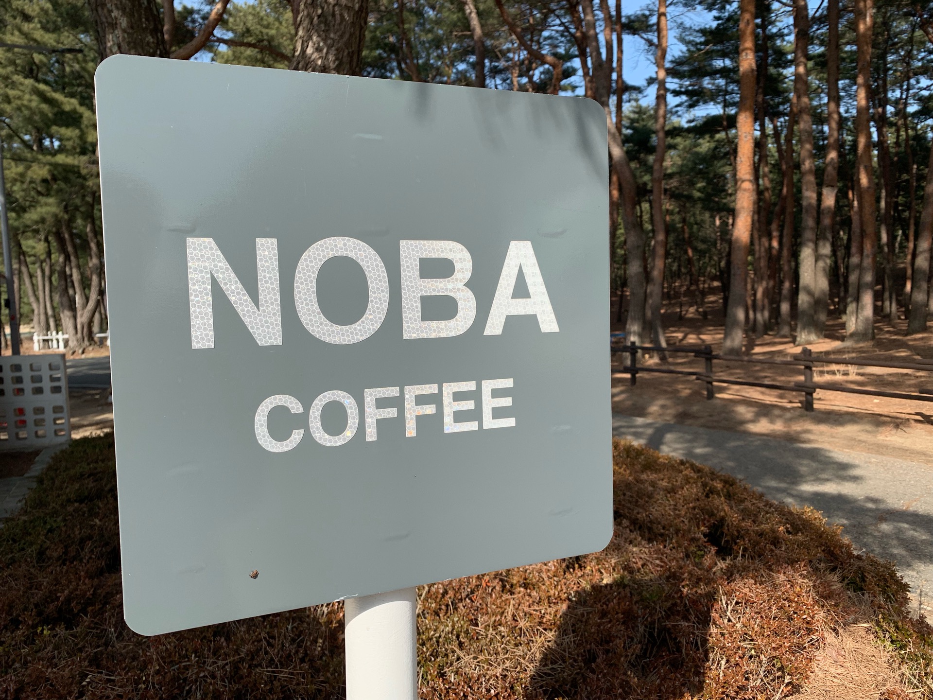 Nova Coffee | 경상북도 울진 평해읍 월송정로 496 | +82 54-787-5533