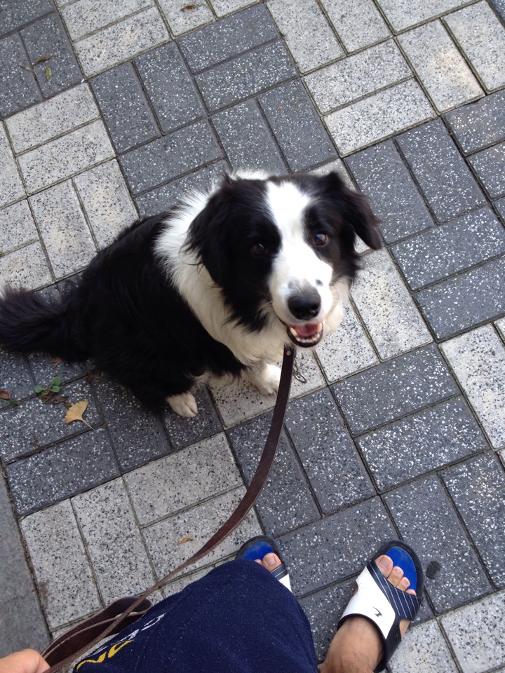 우리은행 | 경기도 성남시 분당구 무지개로 144 | +82 31-717-5252