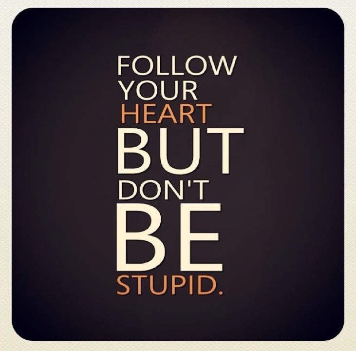 Aurora Mice Travel Agency | Mecidiye Mahallesi No14, Besiktas/İstanbul | +90 541 494 72 95