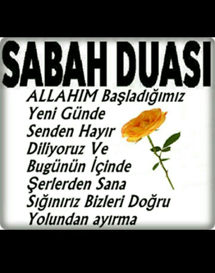 Sanko Makina Adana Bölge Müdürlüğü | Turhan Cemal Beriker Bulvari 16. Km. Zeytinli Mahallesi No:794, Adana/Seyhan | +90 322 271 04 74