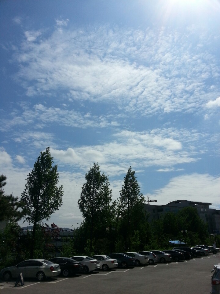 한양대학교 자연과학관 | 서울특별시 성동구 사근동길 24-18 | +82 2-2220-0883