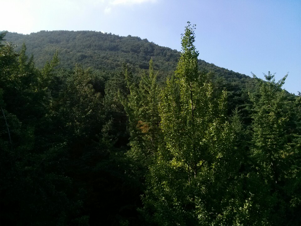 Apsan Cable Car | Korea 대구 남구 앞산순환로 456 | +82 53-656-2994