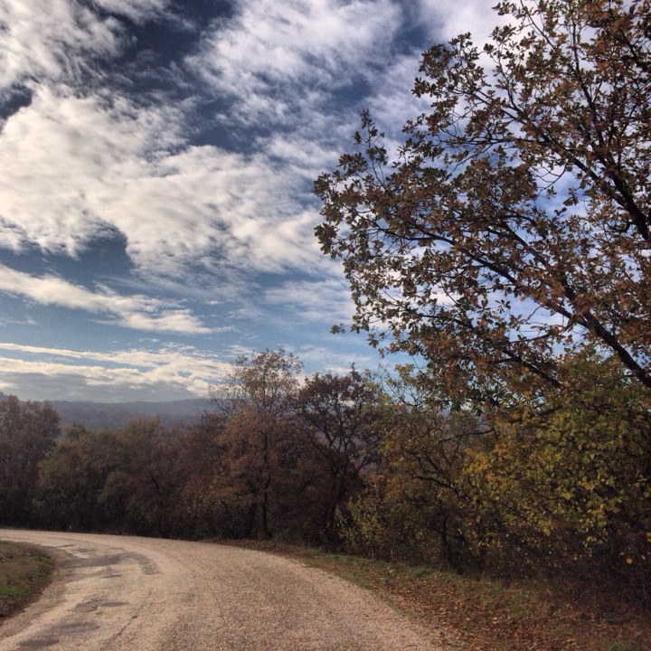 Dereköy Kahvaltı ve Alabalık Tesisleri | Dereköy | +90 266 794 46 54