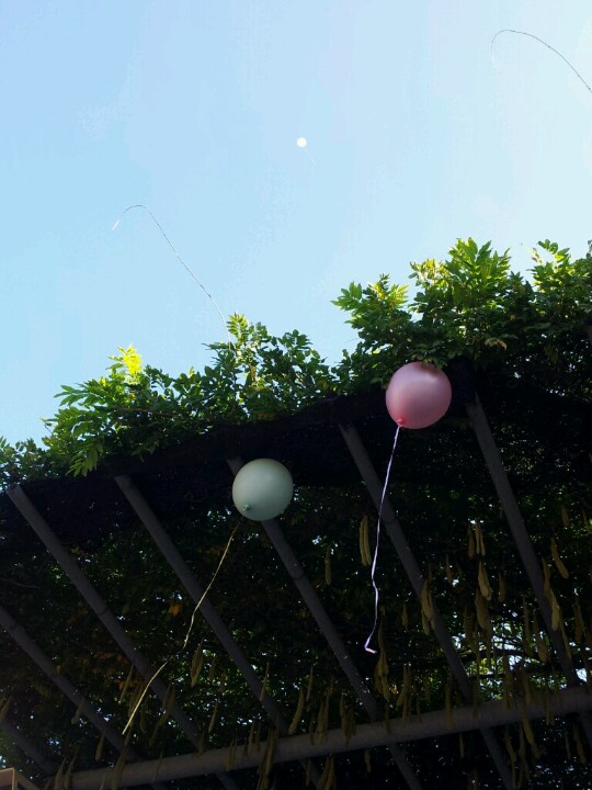 둔산여자고등학교 | 대전광역시 서구 갈마역로 33 | +82 42-479-3860