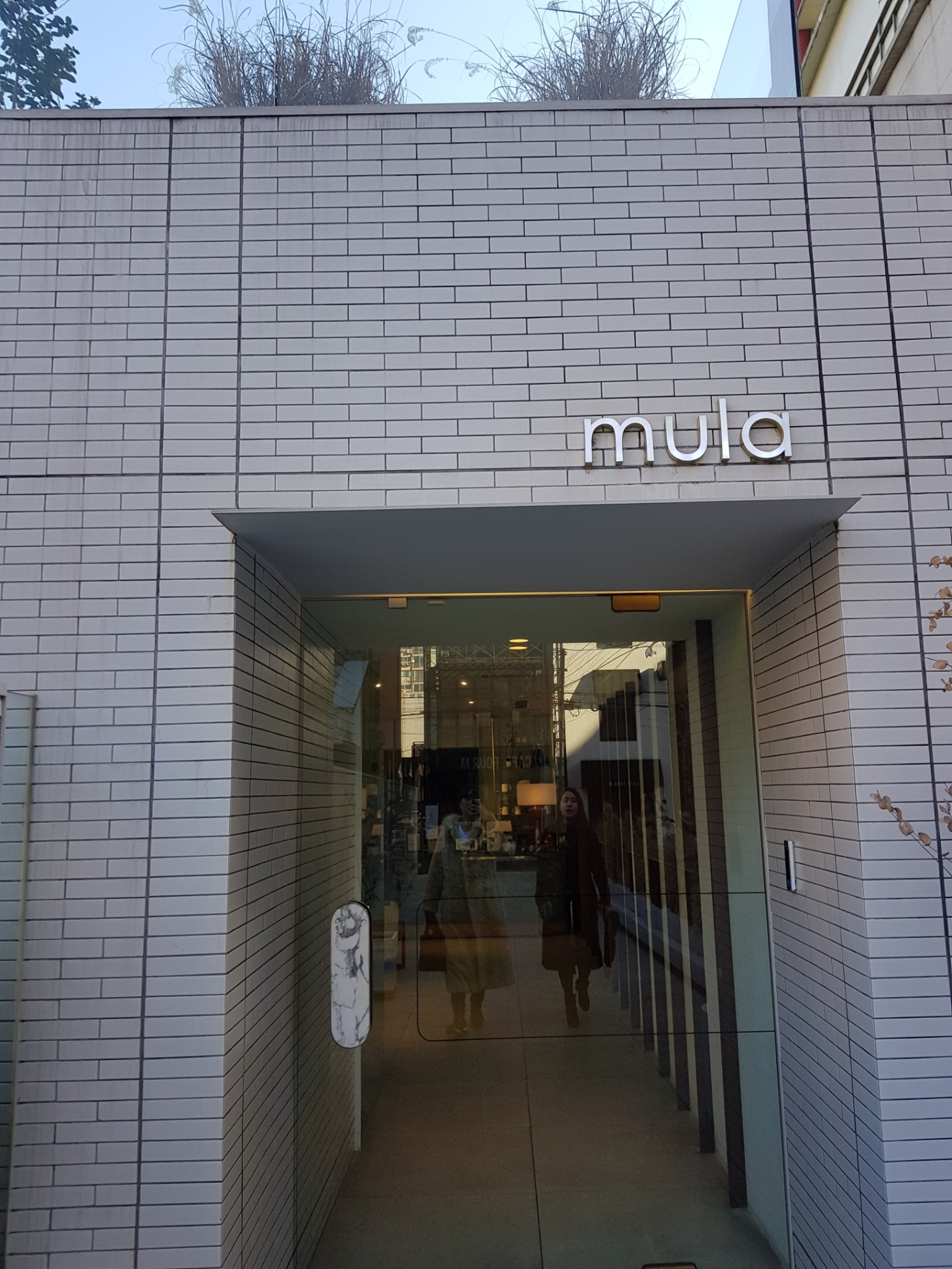 Cafe Mula | Seoul Gang-nam-gu 강남구 압구정로4길 13-12 | +82 2-6104-4541
