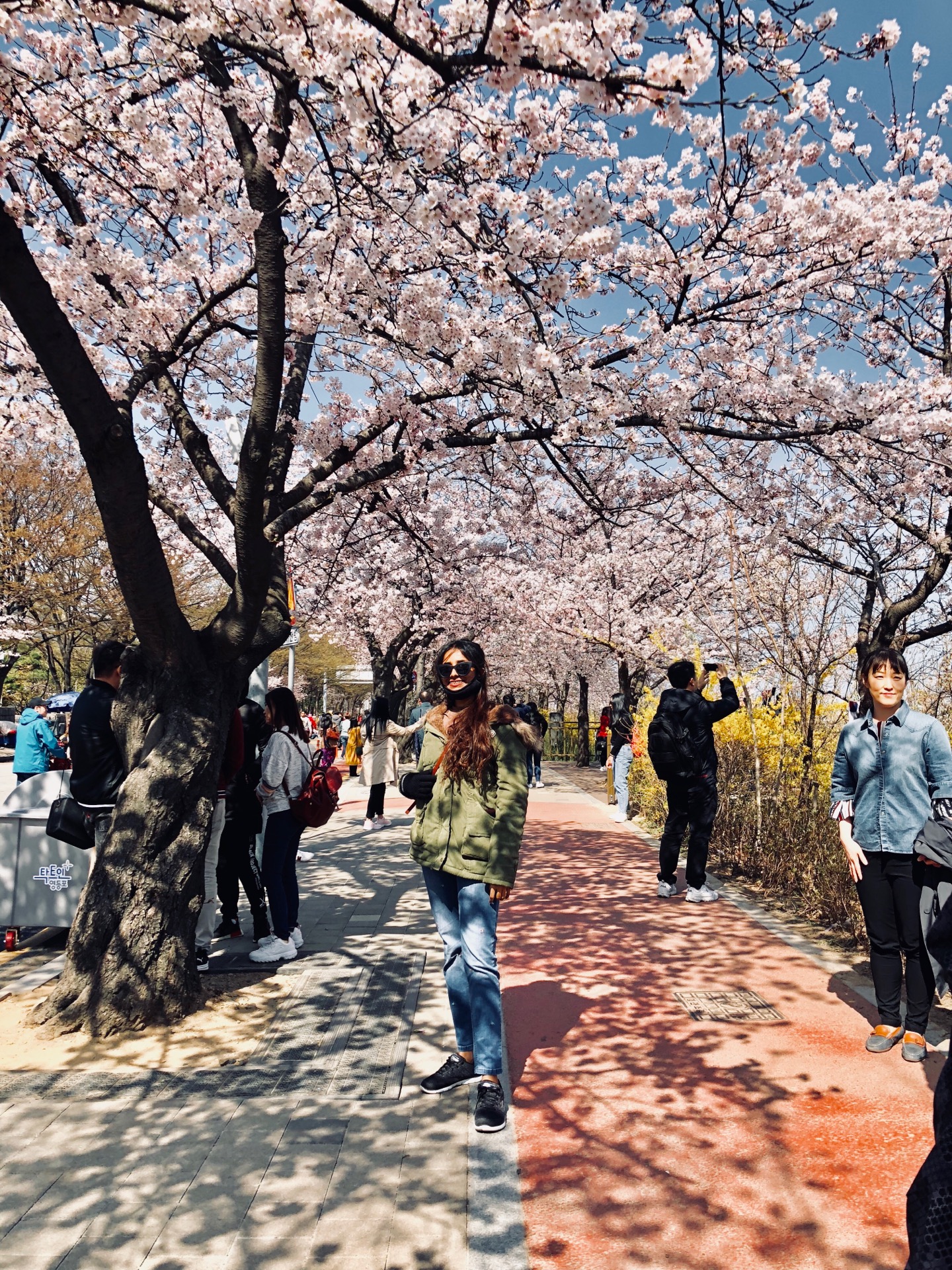 Cherry Blossom | 서울 용산구 이태원로55가길 3 | +82 2-796-9203