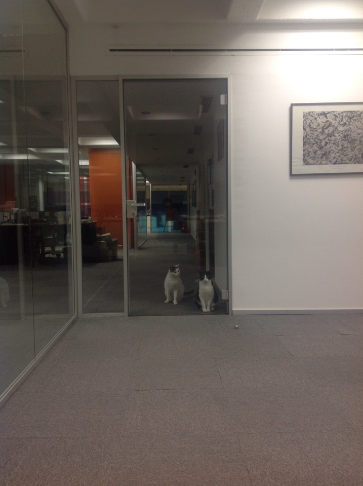 Artı İletişim Yönetimi | morbasan Sokak koza is merkezi b blok, Besiktas/İstanbul | +90 212 347 03 30