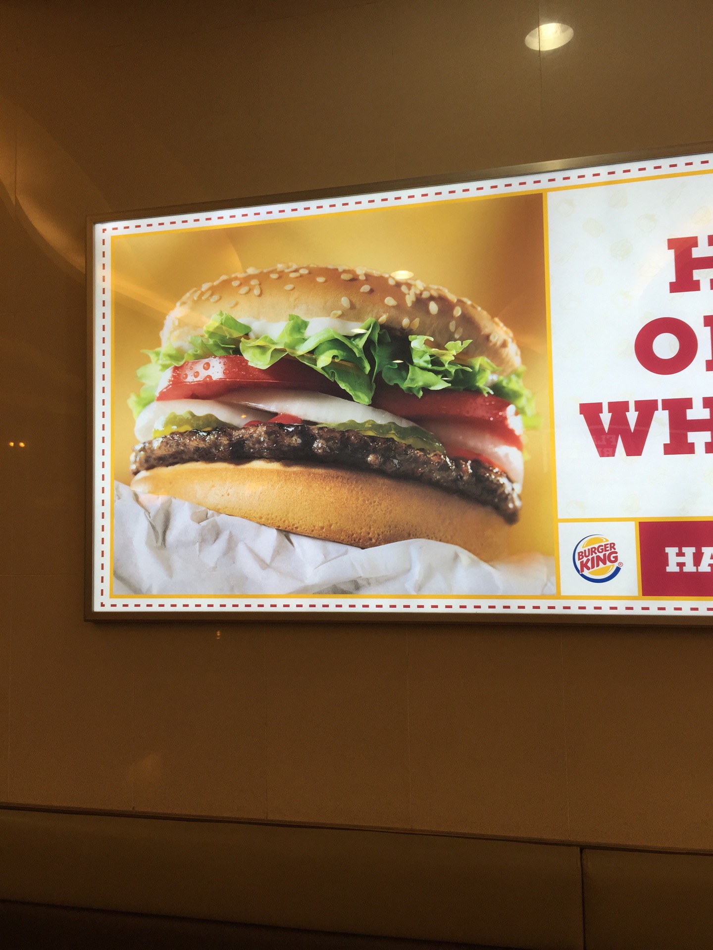 Burger King | 경기도 성남 분당구 내정로 167 | +82 31-714-5858 Burger King | 경기도 성남 분당구 내정로 167 | +82 31-714-5858