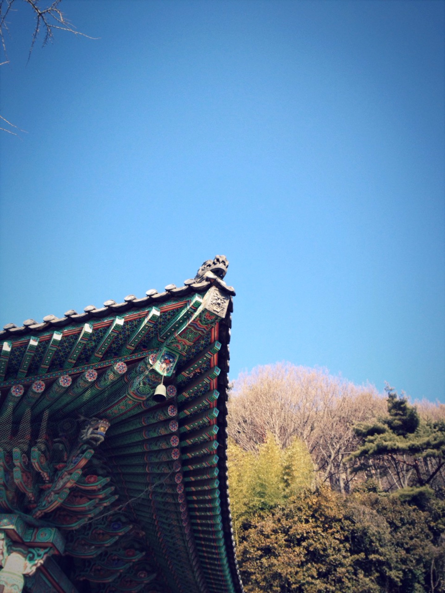 선암사 (仙巖寺) | 부산광역시 부산진구 백양산로 138 | +82 51-803-7573