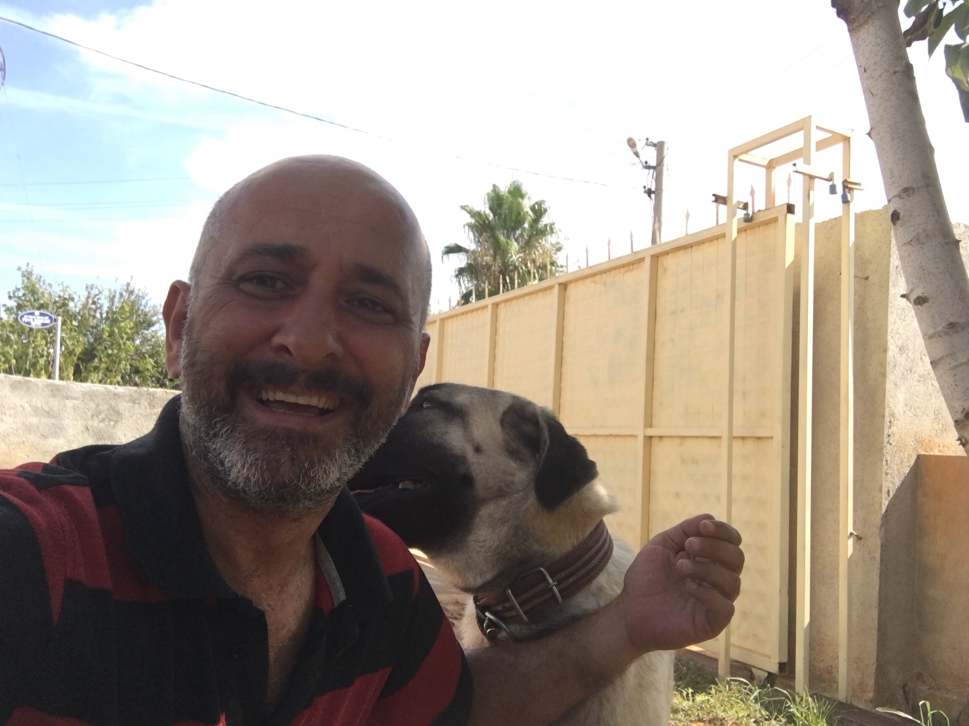 SESA TENTE ÇADIR SANAYİ | Zeytinlik Mah 2735 Sokak no 9 Kepez, Aksu/Antalya | +90 242 312 18 80