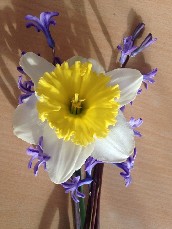 Ortaköy İlkokulu | Ortaköy, Milas/Muğla | +90 252 547 20 03