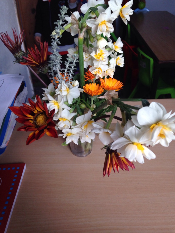 Ortaköy İlkokulu | Ortaköy, Milas/Muğla | +90 252 547 20 03