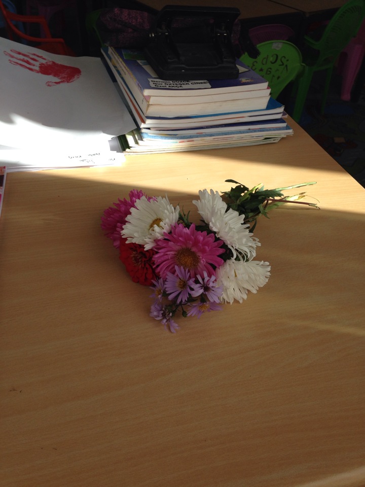 Ortaköy İlkokulu | Ortaköy, Milas/Muğla | +90 252 547 20 03