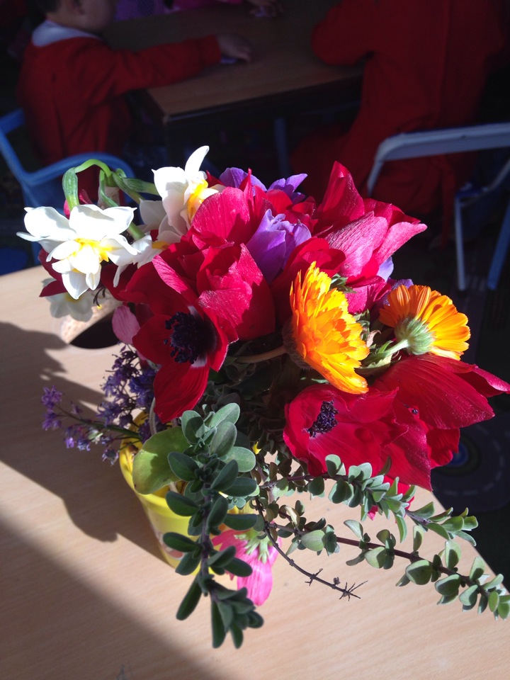 Ortaköy İlkokulu | Ortaköy, Milas/Muğla | +90 252 547 20 03