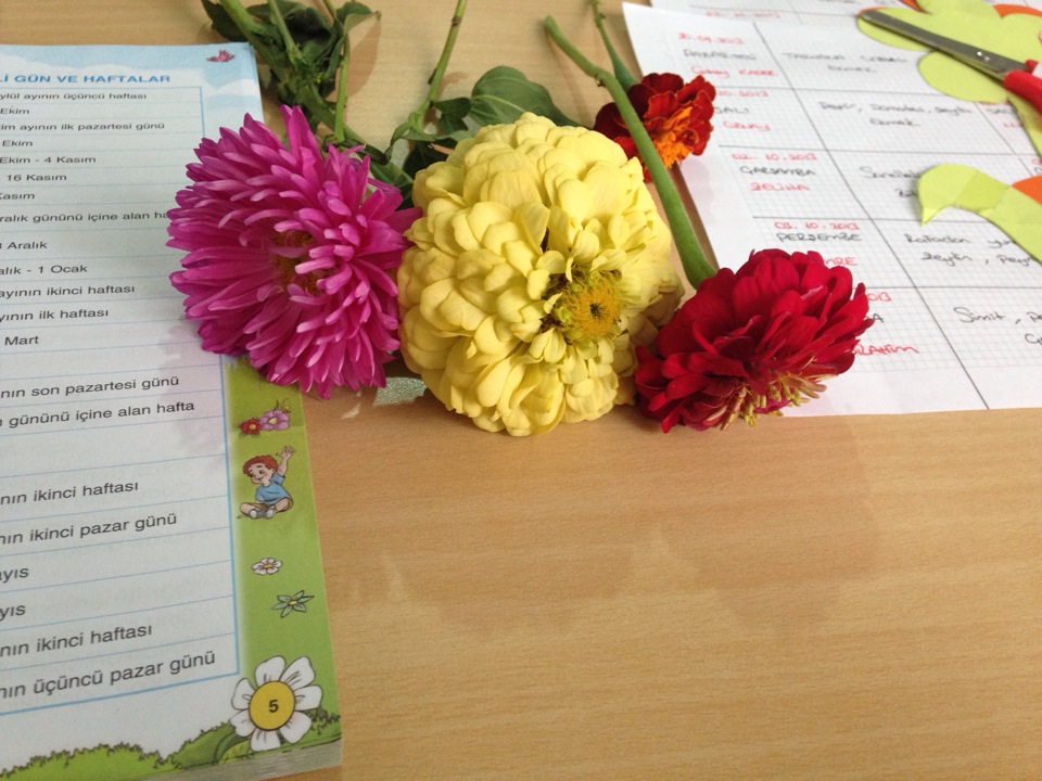 Ortaköy İlkokulu | Ortaköy, Milas/Muğla | +90 252 547 20 03