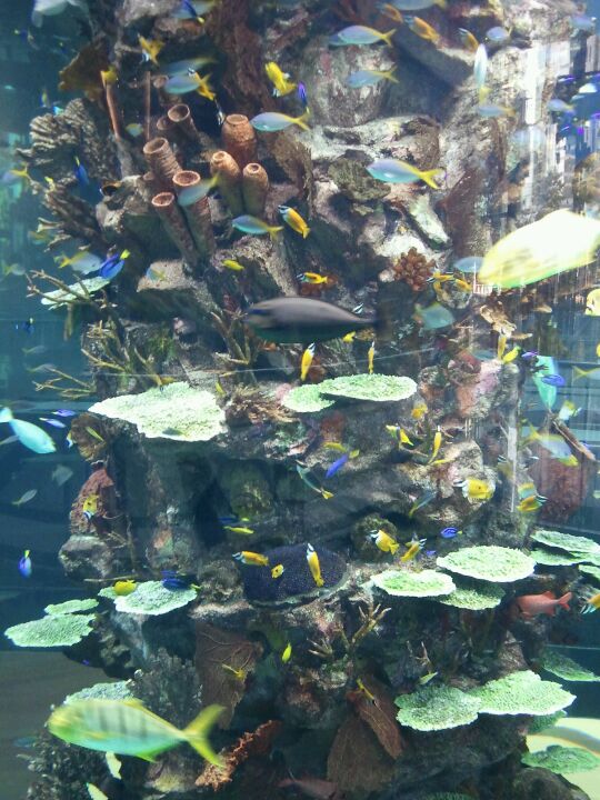 우리은행 | 서울특별시 강남구 테헤란로 440 | +82 2-3453-6611