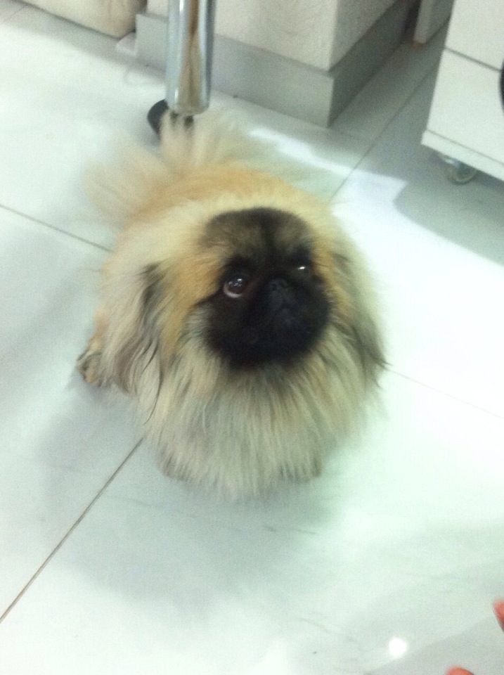 Mademoiselle by HakanSarikus | Zeytinoğlu Caddesi Murat Sokak No47, 34000 Besiktas/İstanbul | +90 532 056 43 06