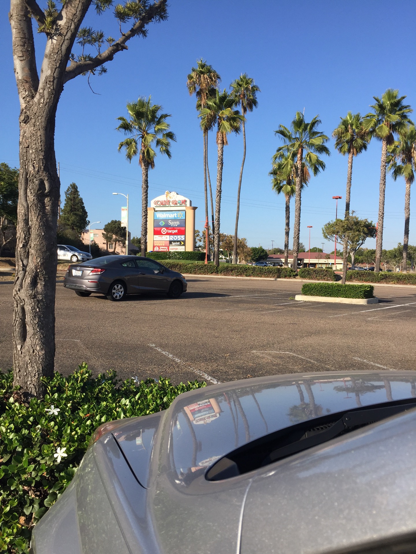 College Grove Center 3450 College Grove Ave San Diego Ca 92115